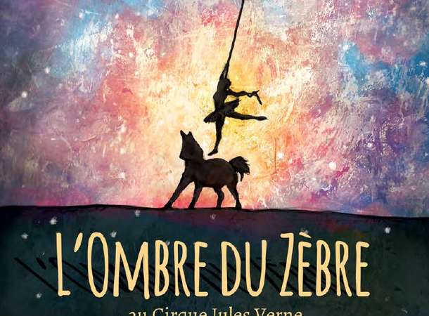 ombre zebre ombre zebre