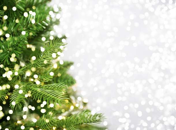 sapin sapin