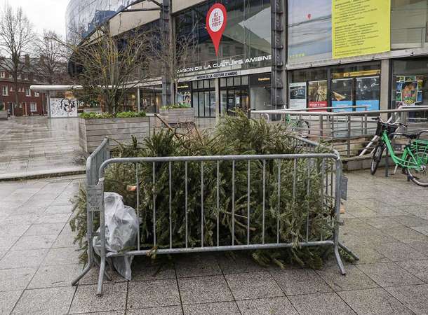 La Ville d’Amiens met en place 42 points de collecte pour donner une nouvelle vie aux sapins de Noël © Laurent Rousselin