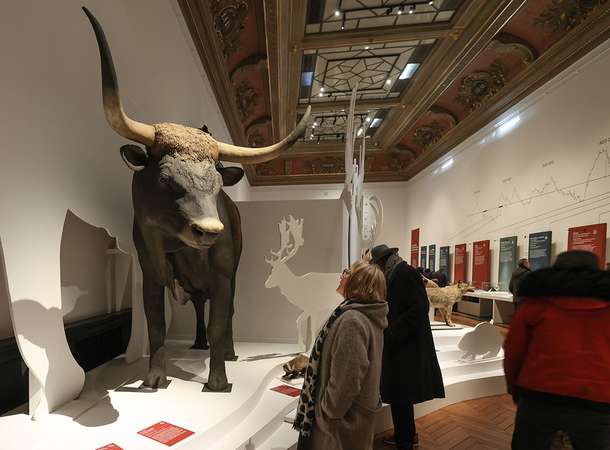 « Les Journées Européennes de l’Archéologie » du 13 au 15 juin 2025 © Laurent Rousselin « Les Journées Européennes de l’Archéologie » du 13 au 15 juin 2025 © Laurent Rousselin