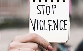 Lutte contre les Violences sexistes et sexuelles Présentation de l'œu...