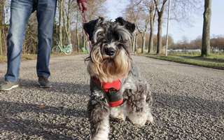 Amiens intègre le top 5 du classement 2026 des villes où il fait bon...