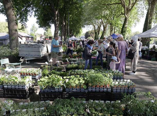 Les inscriptions à la réderie verte au Jardin des plantes sont ouvertes (sur amiens.fr) © Laurent Rousselin