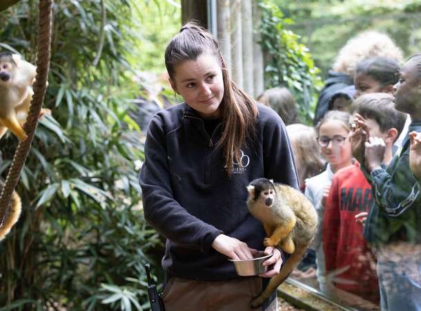 Un été au zoo © Laurent Rousselin Un été au zoo © Laurent Rousselin