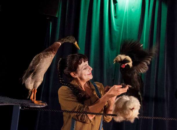 Le bestiaire fait son cirque © Philippe Dereuder Le bestiaire fait son cirque © Philippe Dereuder