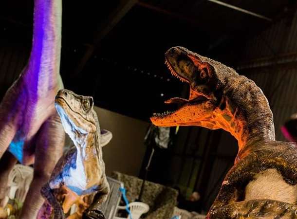 Le monde des dinosaures © Le Monde des dinosaures Le monde des dinosaures © Le Monde des dinosaures
