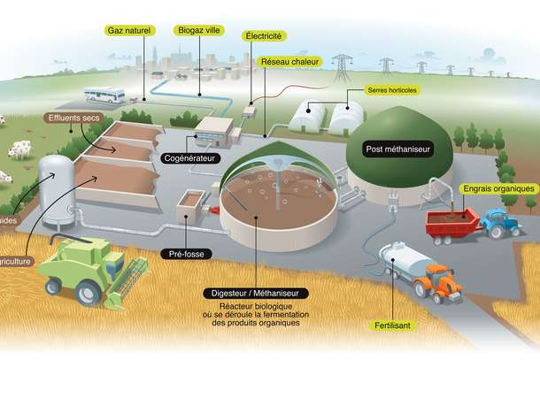 Le biogaz, nouvel outil vers l’autonomie 1 © Agence Six