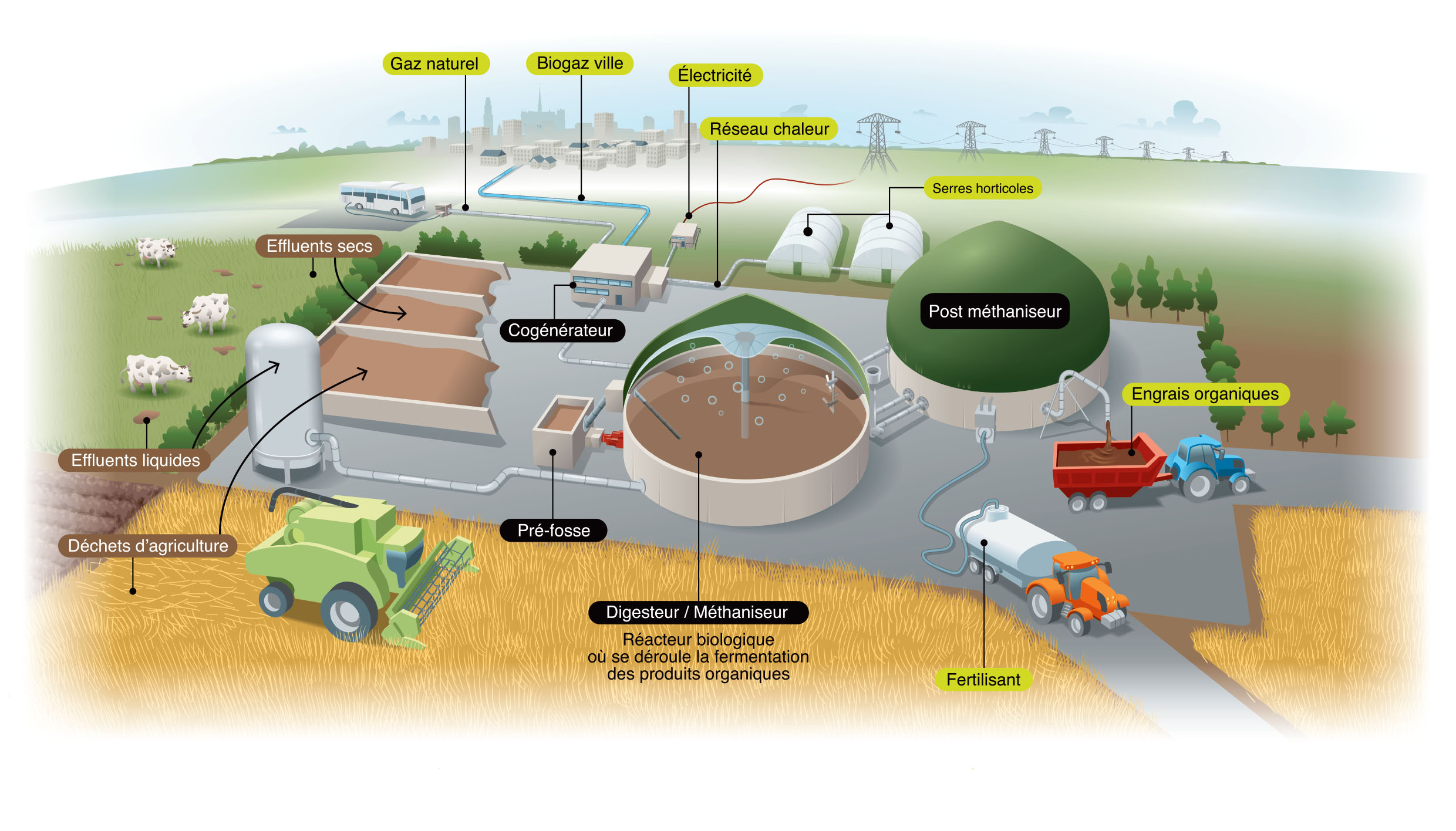 Le biogaz, nouvel outil vers l’autonomie 2 © Agence Six