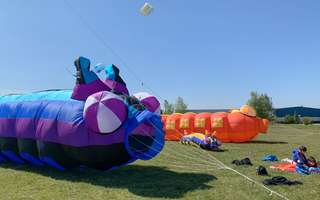 La Fête du vent souffle à Borélia  © Laurent Rousselin / Amiens Métropole La Fête du vent souffle à Borélia  © Laurent Rousselin / Amiens Métropole