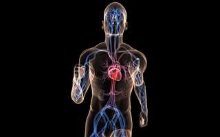 La science mouille le maillot  © Getty Images La science mouille le maillot  © Getty Images