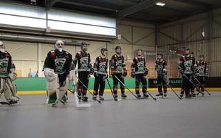 Les Green Falcons, des retours en rafale © Green Falcons Les Green Falcons, des retours en rafale © Green Falcons