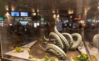 Le Nauti-poulpe sur les rails © Laurent Rousselin / Amiens Métropole Le Nauti-poulpe sur les rails © Laurent Rousselin / Amiens Métropole