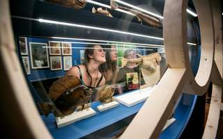 Musée, zoo et Jules Verne explosent les scores  © Noémie Laval Musée, zoo et Jules Verne explosent les scores  © Noémie Laval