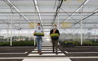 La sobriété porte ses fruits 1 © Laurent Rousselin / Amiens Métropole La sobriété porte ses fruits 1 © Laurent Rousselin / Amiens Métropole