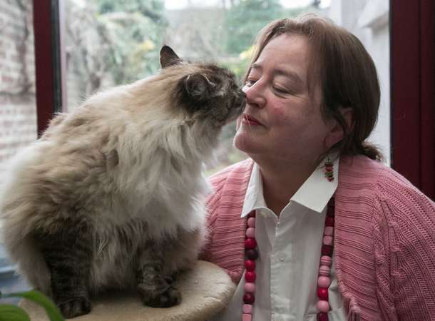 Les chats valent bien des haïkus  © Noémie Laval