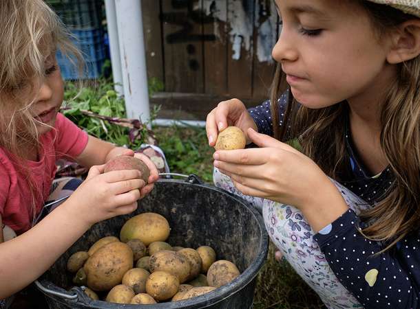 Un mois qui donne la patate  © Getty Images