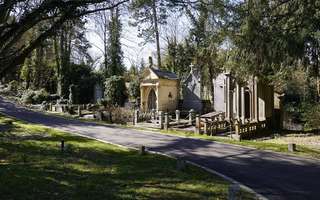 Toussaint : voiture avec chauffeur © Laurent Rousselin Toussaint : voiture avec chauffeur © Laurent Rousselin