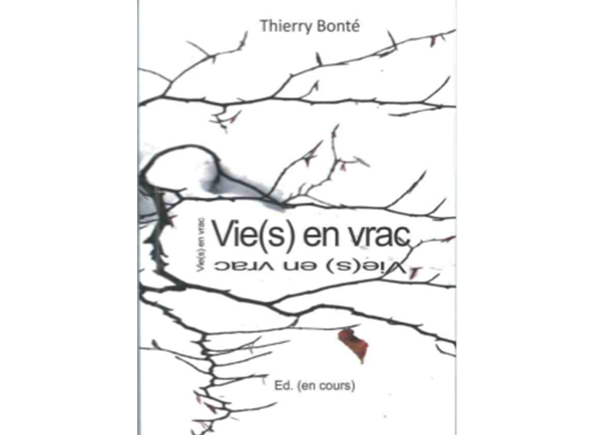 Vie(s) en vrac © Editions En cours