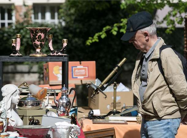Attrapez les Puces de Noël © Noémie Laval
