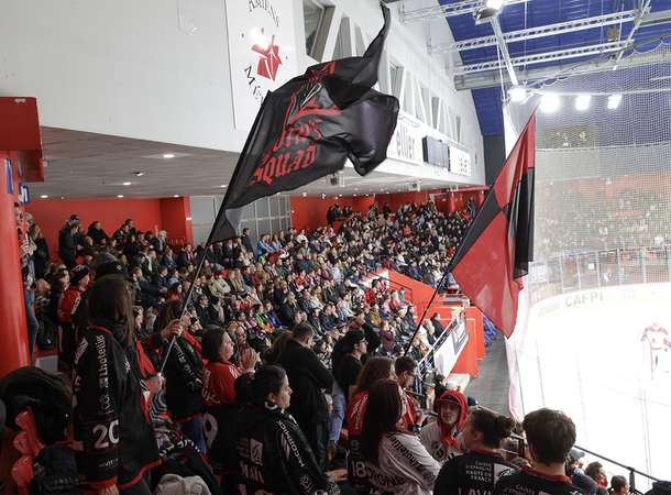 Le palet de la découverte © Laurent Rousselin