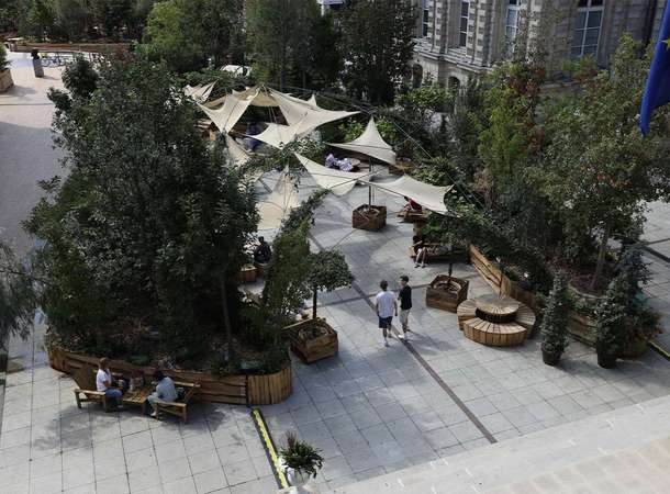 Les arbres de la forêt urbaine reprennent racine © Maxime Trouvillers