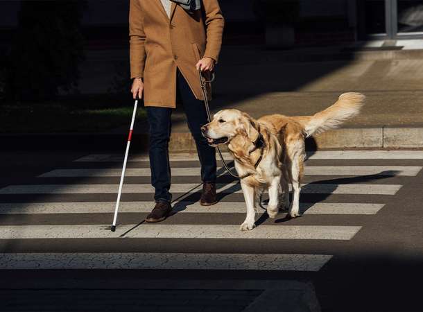 Journée autour de l'accessibilité et de la malvoyance © Getty Images