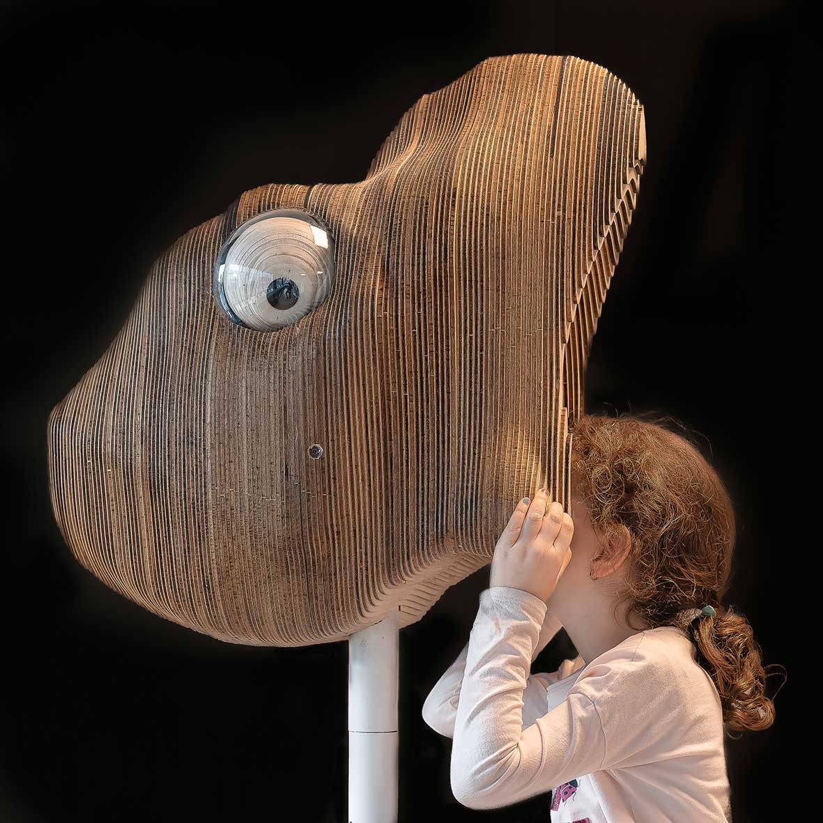 Un drone de festival 4 © Hervé Escario