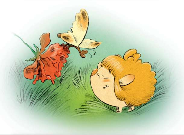 Un choupisson fait le printemps © David Périmony