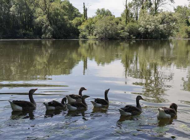 Échappées vertes 1 © Laurent Rousselin
