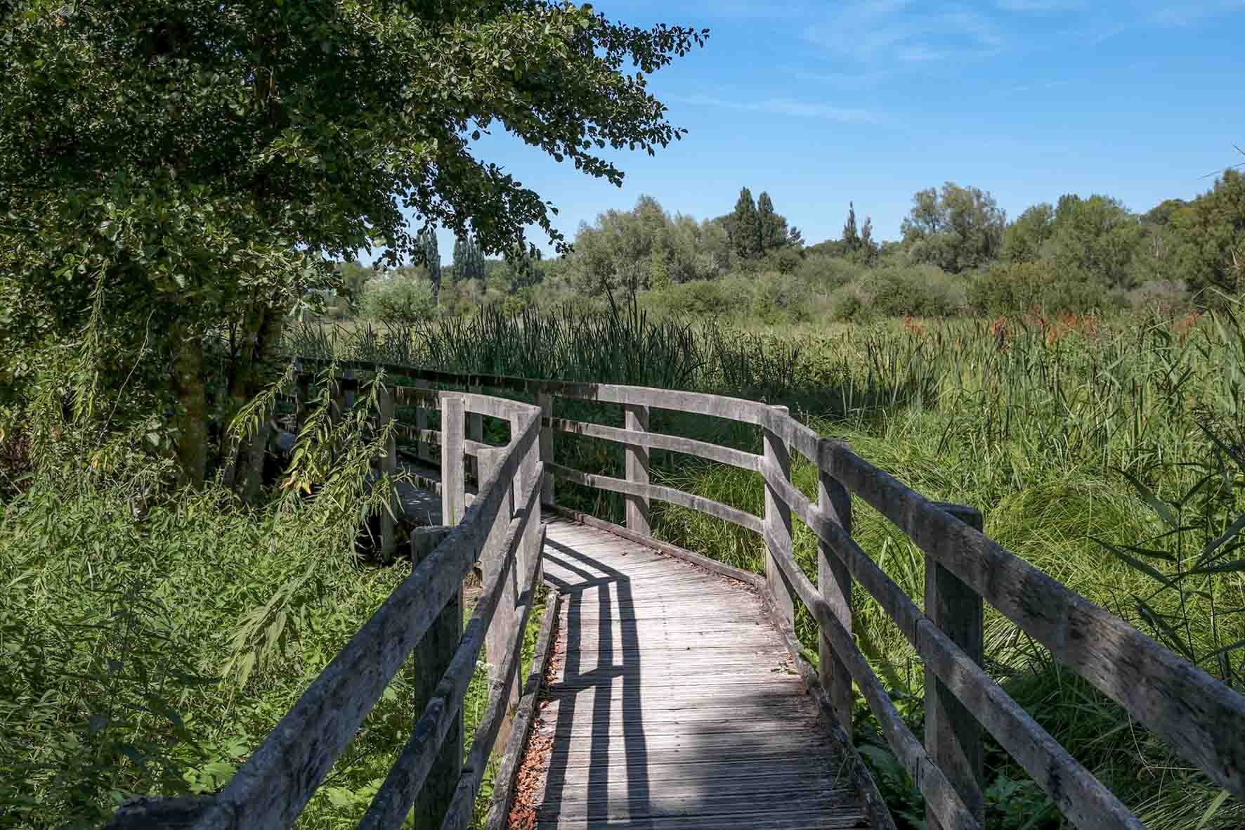 Échappées vertes 3 © Sébastien Coquille