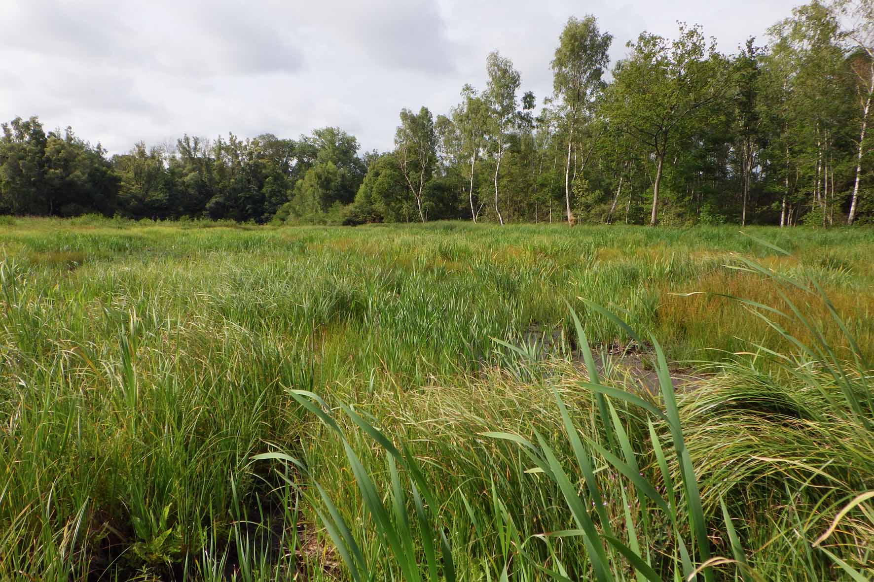 Échappées vertes 4 © Gaëtan Rivière