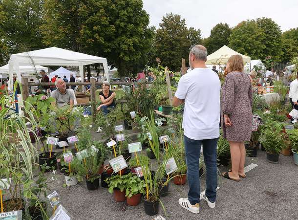 Rivery fête les jardiniers par milliers © Laurent Rousselin