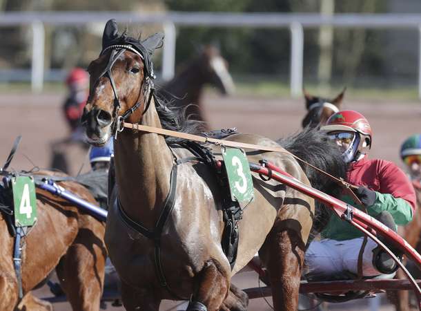La chevauchée américaine © Laurent Rousselin
