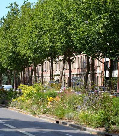 Les fonctionnalités de l'arbre développés à Amiens © Service des Espaces verts