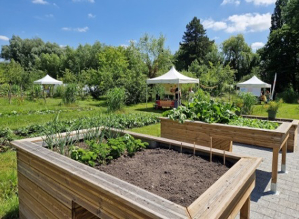 jardin solidaire © Amiens Métropole