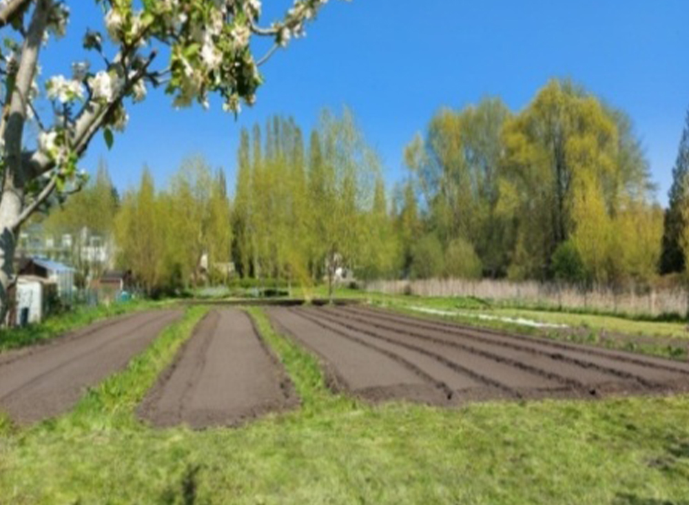 jardin solidaire © Amiens Métropole
