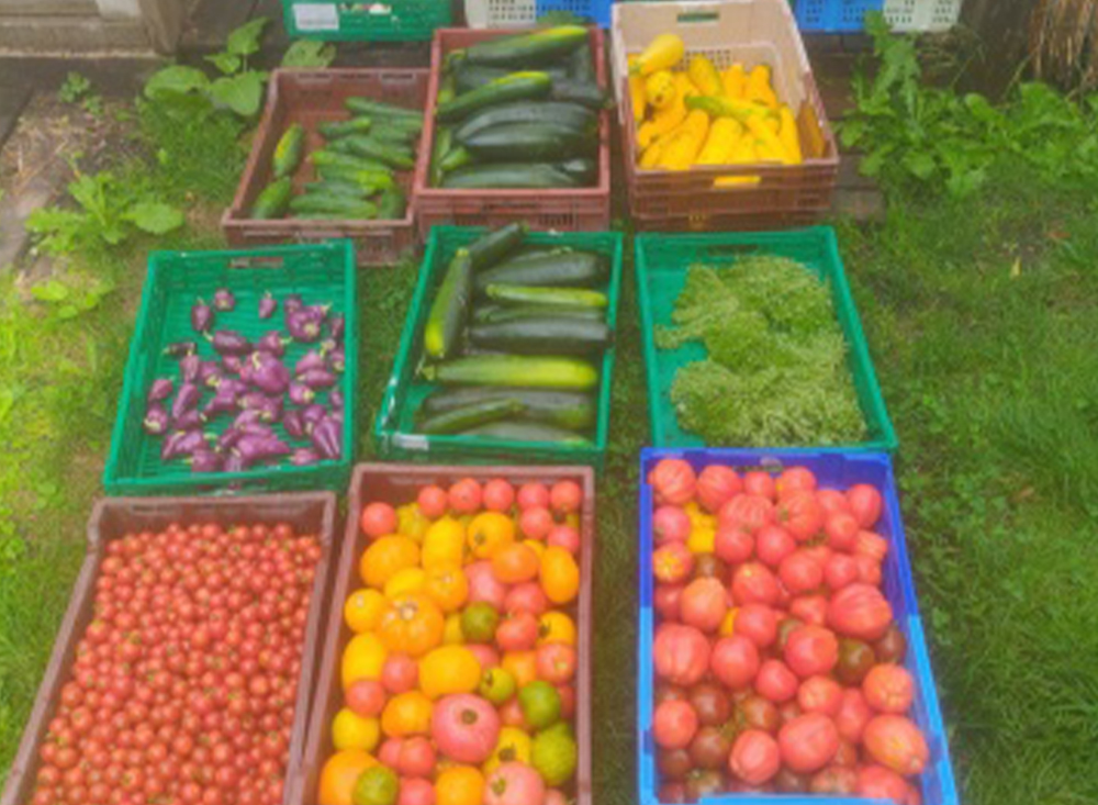 jardin solidaire © Amiens Métropole