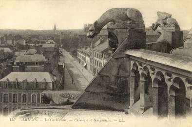 Chimères et gargouilles de Notre Dame d'Amiens © Archives municipales et communautaires d'Amiens_15Fi52
