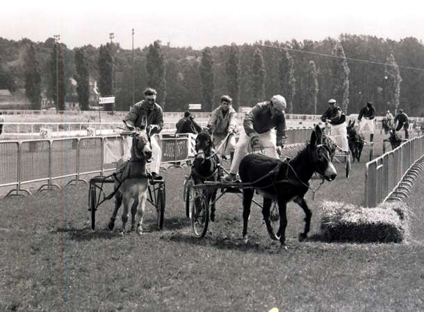 Course de sulkies avec des ânes à l’hippodrome du Petit Saint-Jean à Amiens © Archives municipales et communautaires d'Amiens_25Fi2945