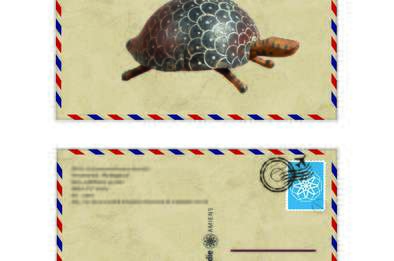 carte postale tortue-Musée de Picardie