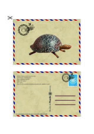 carte postale tortue-Musée de Picardie