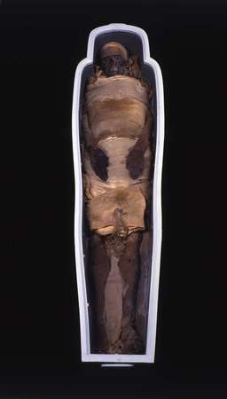 Momie de Setjaimengaou © Jean-Louis Boutillier-Musée de Picardie Momie de Setjaimengaou © Jean-Louis Boutillier-Musée de Picardie