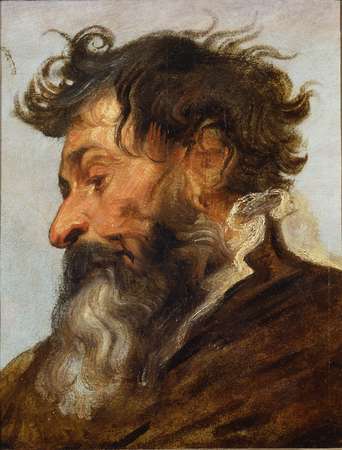Antoon van Dyck, "Tête d’homme de profil, tourné vers la gauche"  © Marc Jeanneteau-Musée de Picardie
