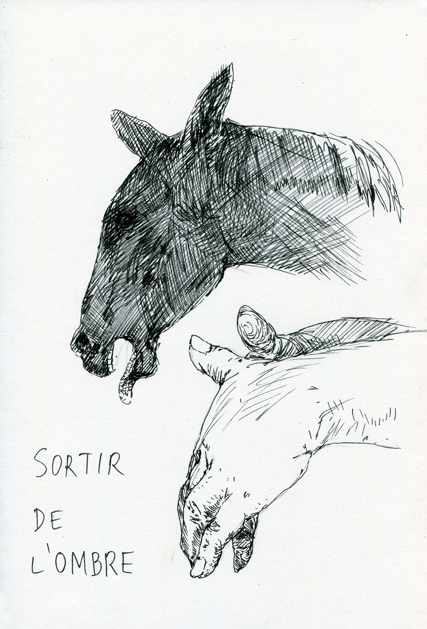 Tereza Lochmann (Prague, 1990), Sortir de l’ombre, série La Condition Équine, 2022 © Tereza Lochmann © ADAGP, Paris 2024 Tereza Lochmann (Prague, 1990), Sortir de l’ombre, série La Condition Équine, 2022 © Tereza Lochmann © ADAGP, Paris 2024