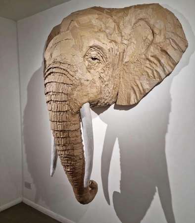 Éléphant © El Hadji Abdou Ndiaye
