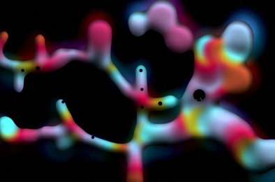 Exo~faune © Machines studio Exo~faune © Machines studio