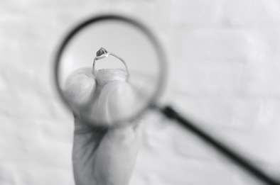 Gains & Losses © Damon De Backer Gains & Losses © Damon De Backer