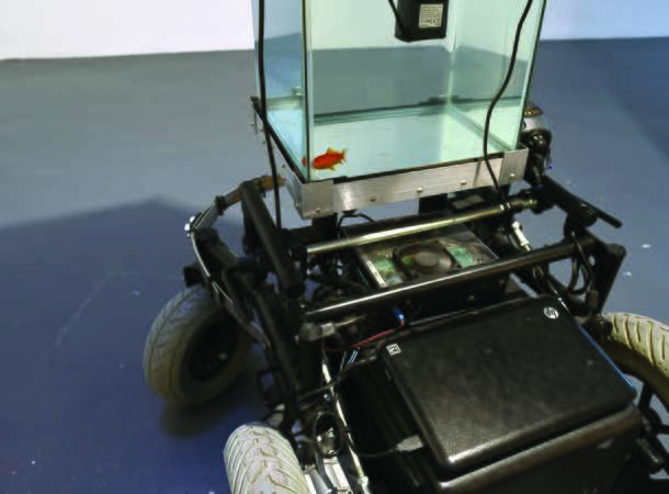Machine 2 Fish V2 © Luce Moreau Machine 2 Fish V2 © Luce Moreau