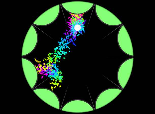 Hoki Doki © Collectif Katpatat