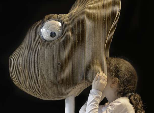 Zooscope © Hervé Escario